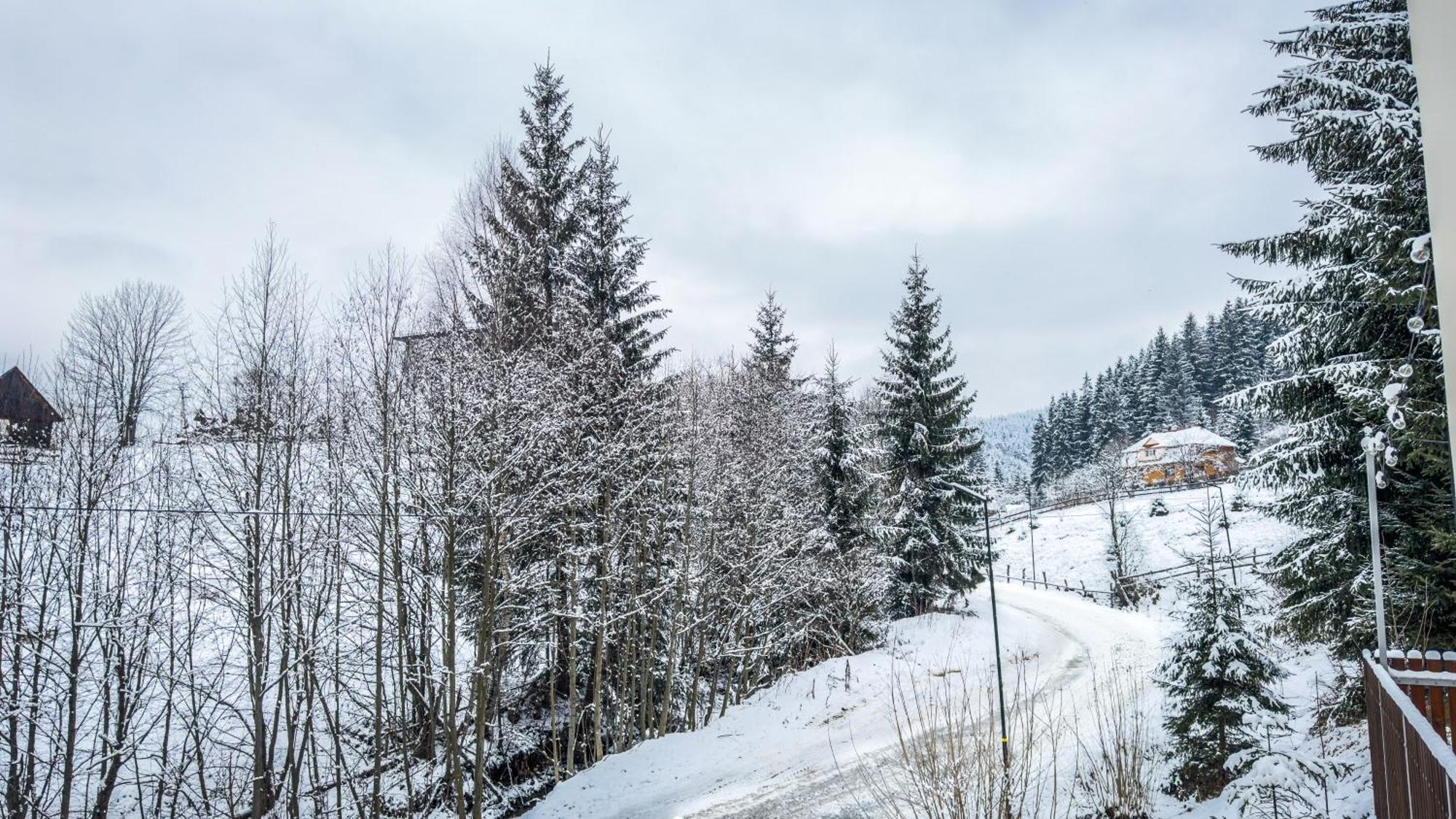 Lion Hotel Bukovel Szoba fotó